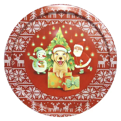 Tray PD024